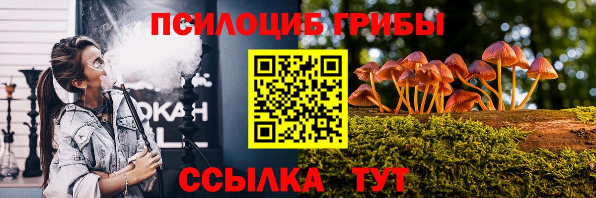 Прокопьевск  Галлюциногенные грибы MAGIC MUSHROOMS  Вход с VPN  Галлюциногенные грибы Cubensis 